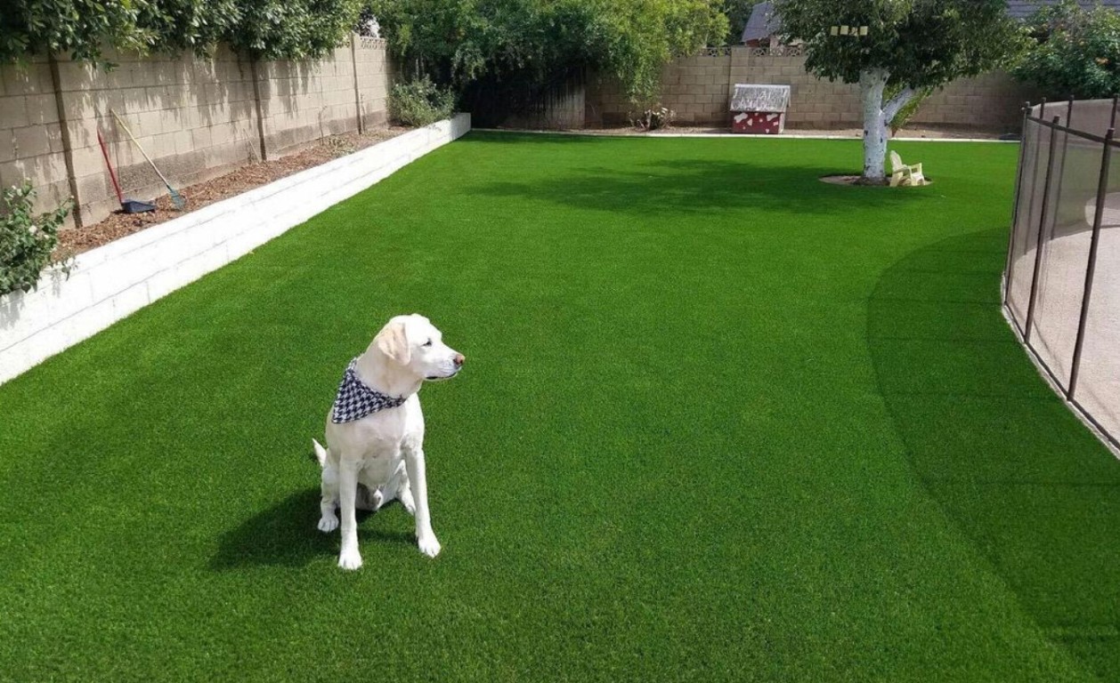 Pet-safe artificial grass with advanced drainage system for dogs